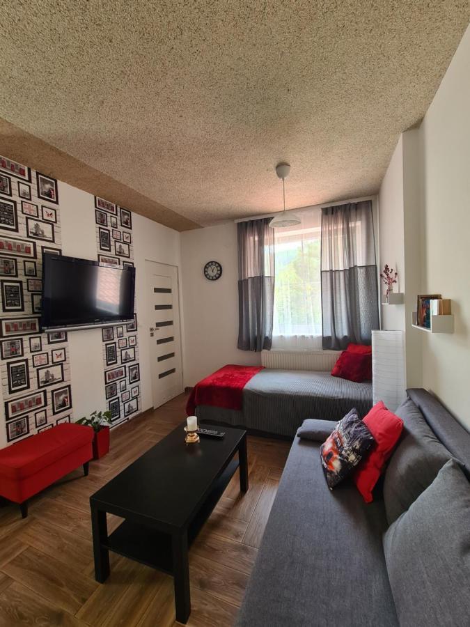 Apartamenty Katarina Ustrzyki Dolne Extérieur photo